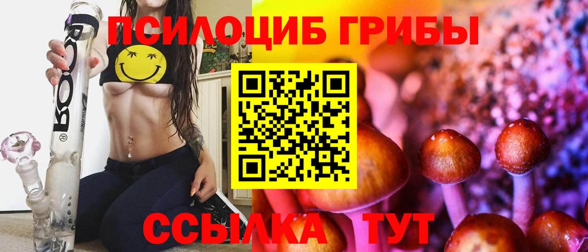 Галлюциногенные грибы Psilocybe  Вход с VPN  Серов 